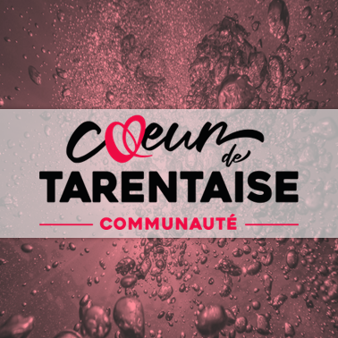 Communauté de Communes CŒUR DE TARENTAISE [73]